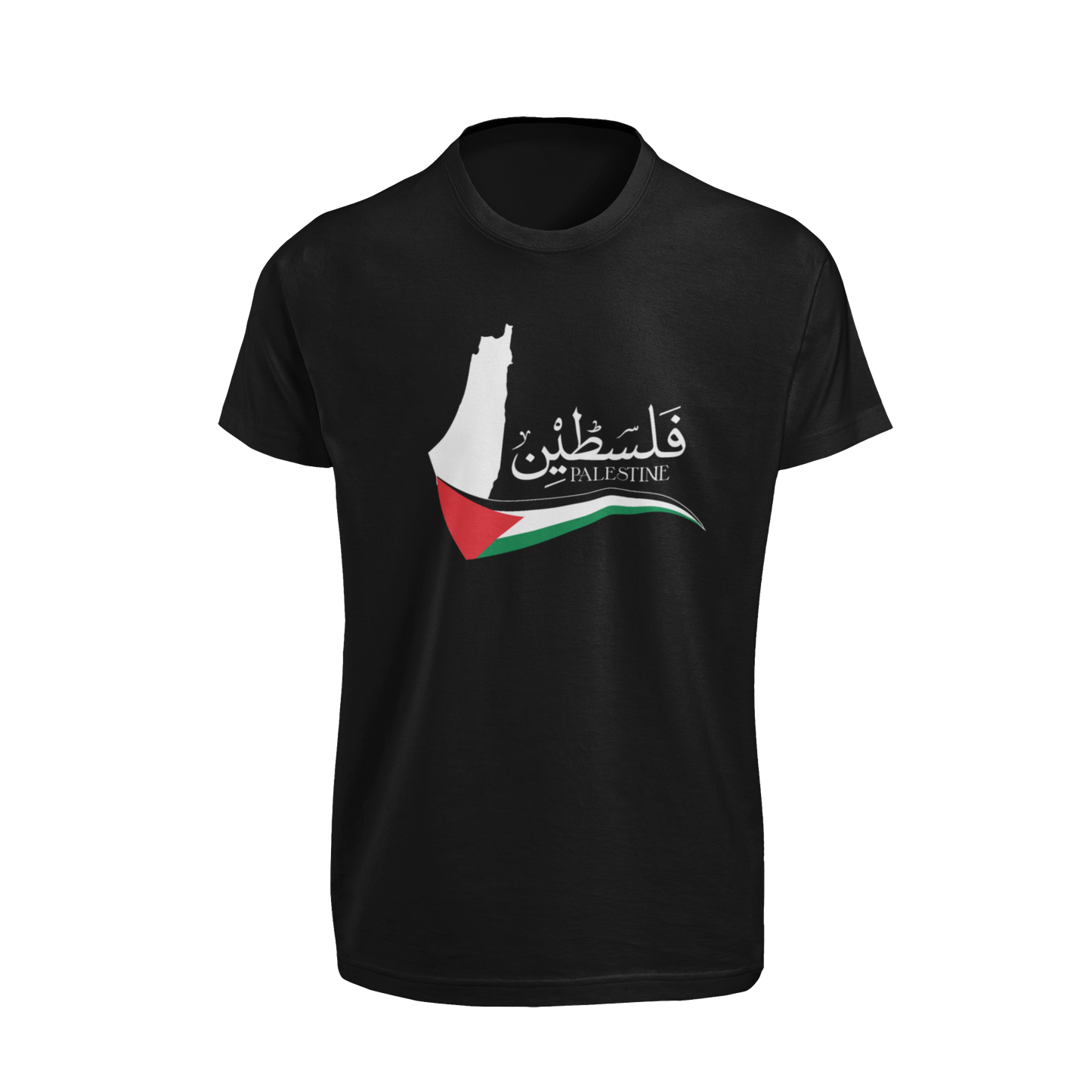 Palestine 6