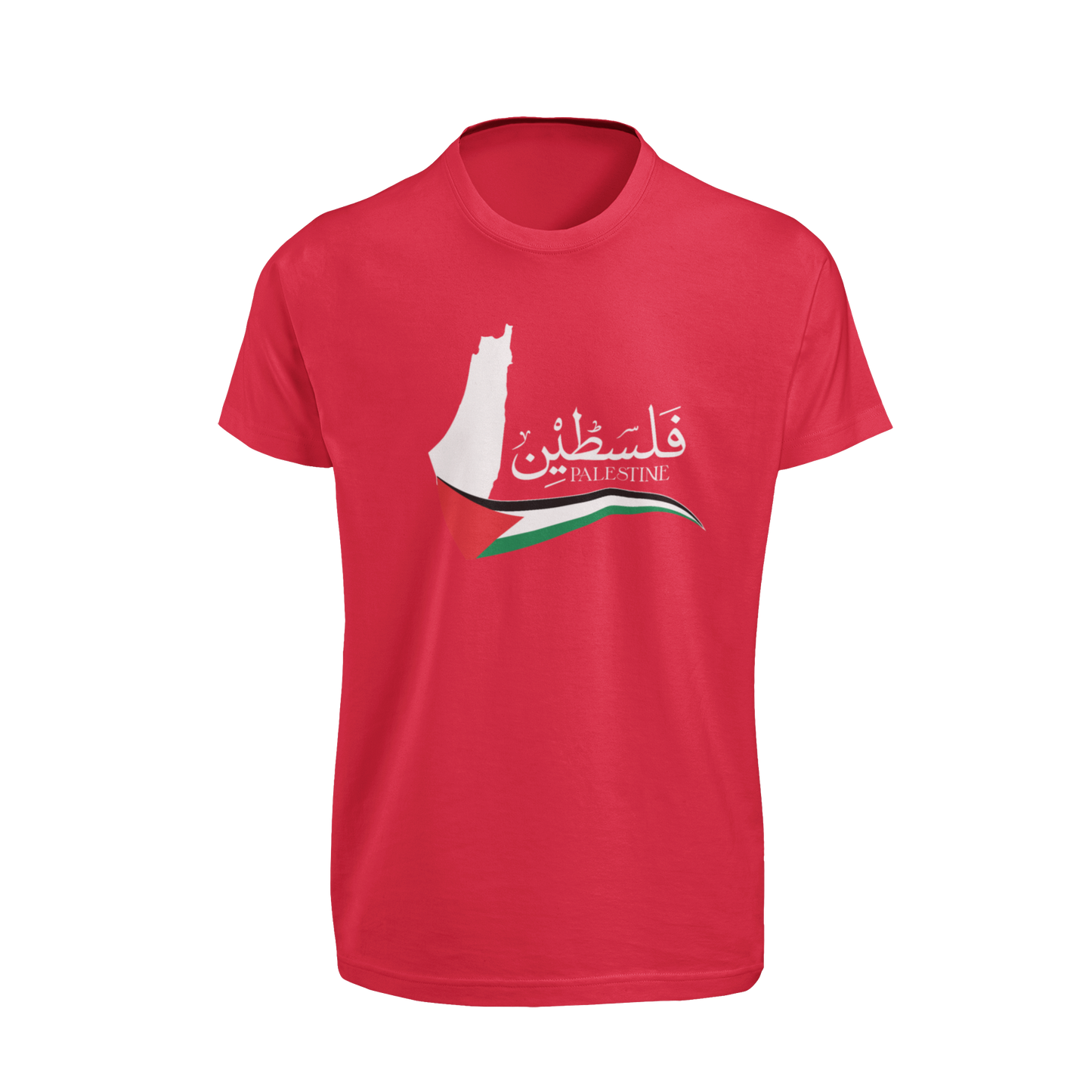 Palestine 6